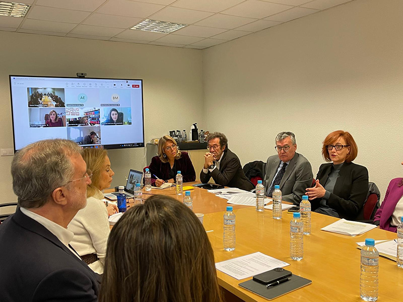 Estrategia normativa_carrusel_003